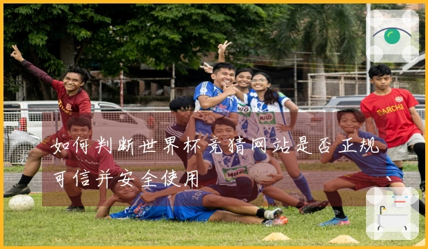 如何判断世界杯竞猜网站是否正规可信并安全使用