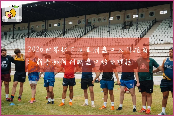 2026世界杯下注亚洲盘口入门指南：新手如何判断盘口的合理性