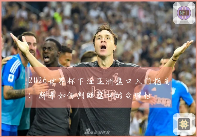 2026世界杯下注亚洲盘口入门指南：新手如何判断盘口的合理性