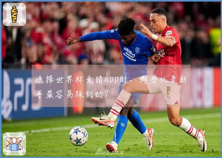 选择世界杯竞猜app时，哪些坑是新手最容易踩到的？