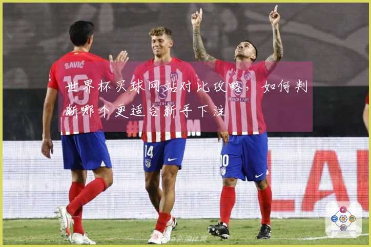 世界杯买球网站对比攻略，如何判断哪个更适合新手下注