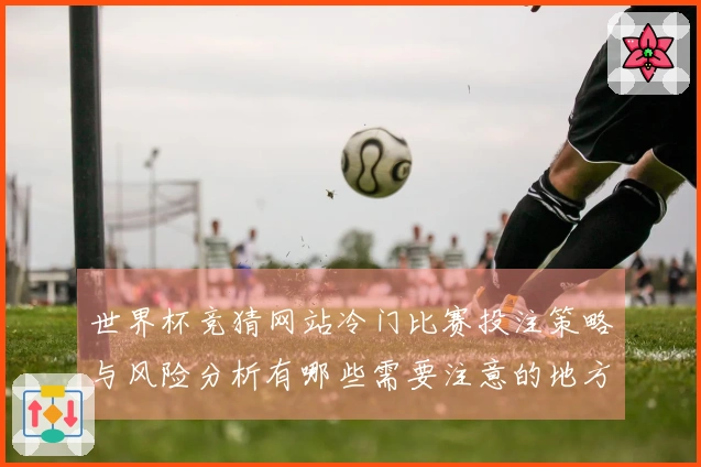 世界杯竞猜网站冷门比赛投注策略与风险分析有哪些需要注意的地方